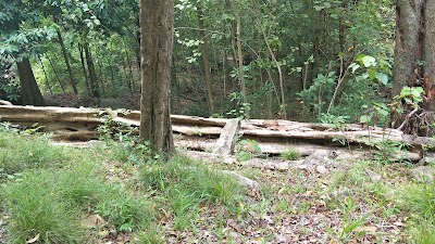 Photos of Ritigala Ruins