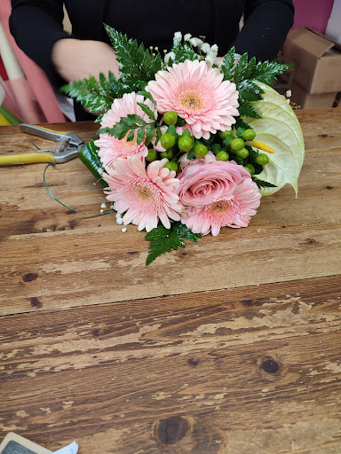 MariGarden - Visual