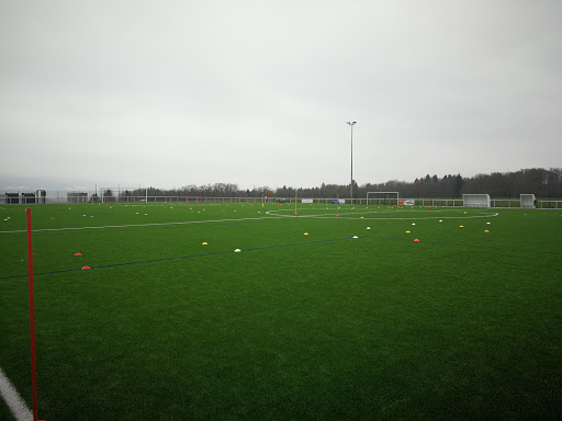 Stade Foot A.S. Evires