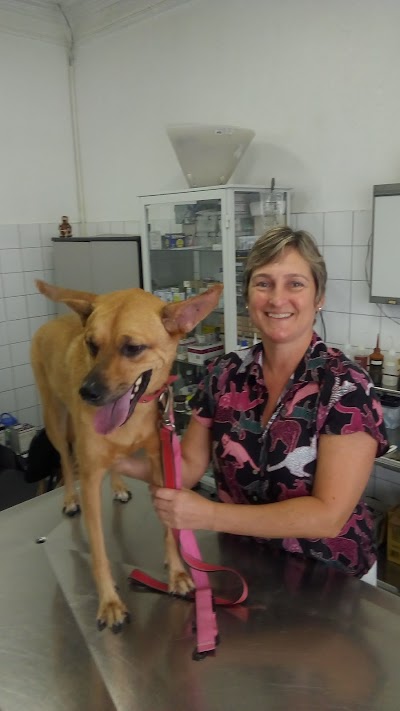 Photos of C&atilde;o Santista Cl&iacute;nica Veterin&aacute;ria e Pet Shop