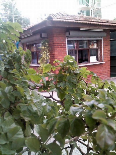 Photos of G&Uuml;ZELYALI MANAVLAR SPOR KOMPLEKSİ