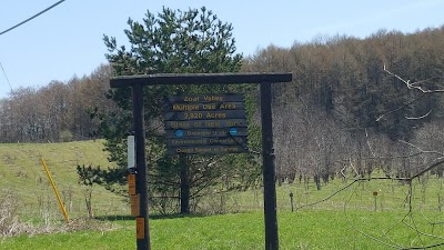 William W. White American Chestnut Plantation