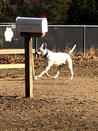 K9 Gunner Memorial Dog Park - Thumbnail
