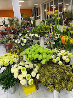 Le Val Fleuri à Fleurieu-sur-Saône