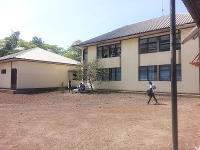 university