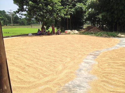 Photos of Messers Salim Rice Mill