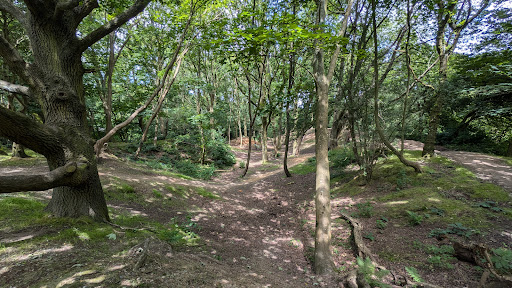 Laindon hills bike jumps - Thumbnail
