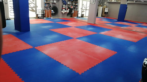 Miranda Gym Contact