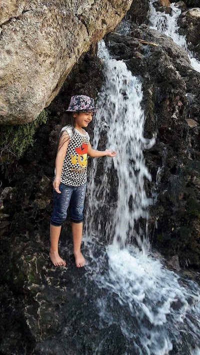 Photos of متنزه الجنائن المعلقة حي نادر