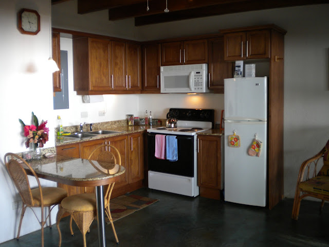 Plumita Pacifica by null