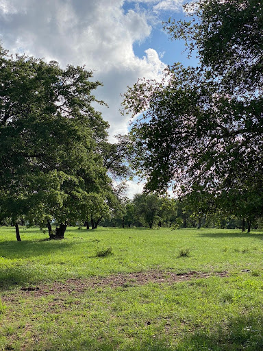 Lagos La Mesa - Visual