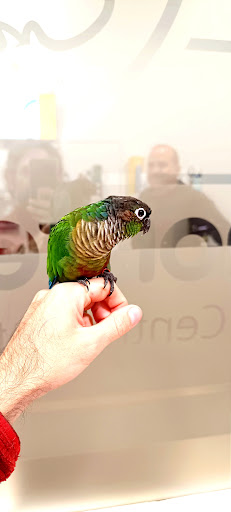 Veterinario Exóticos Granada