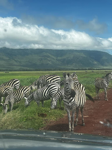Ngorongoro Wild Camp by null