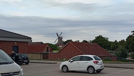 Dipl.Med.Vet. Sabine Menke Tierarzt - Thumbnail