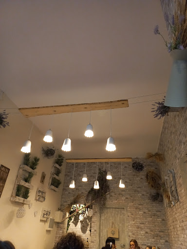 Hammed's - Visual