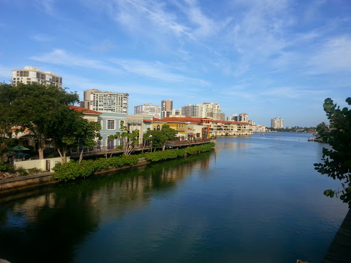 Lynn Charlas White - Coldwell Banker Realty - Thumbnail