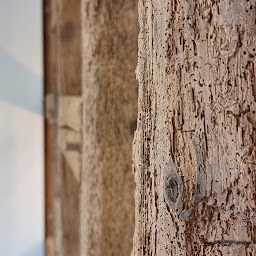 Photo n°12 de Agence Immobilière Alsace : L'Authentik Agency : Immobilier de Caractère et de Luxe. à Bernardswiller (Agence de location immobilière)