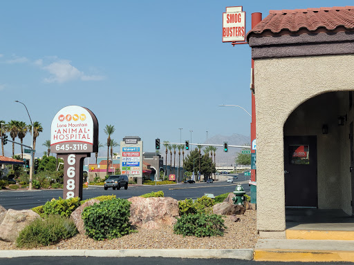 Lone Mountain Animal Hospital - Thumbnail