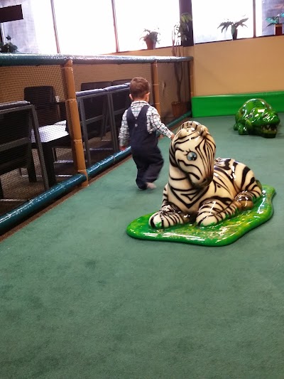 Photos of Jungle Java