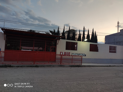 Jardín de Niños Francisco Larroyo Gallery - Mexico