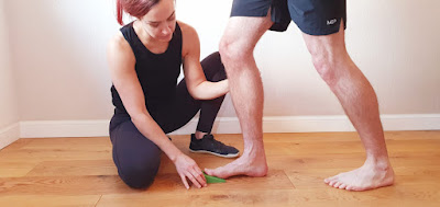 Diane Chalmers - Physio, Anatomy In Motion & Cst