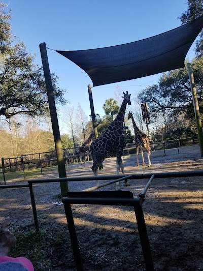 Audubon Zoo - Bus Stop