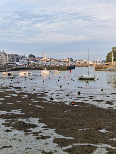 Du Vieux Port - Thumbnail