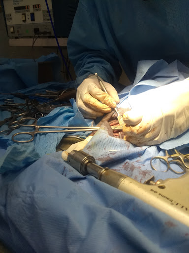 Hospital Veterinario Xolo
