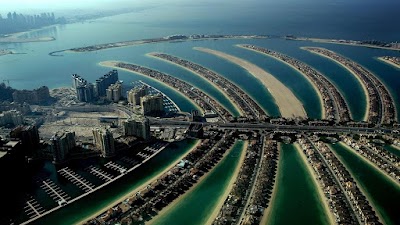 Photos of ALFA Movers Dubai