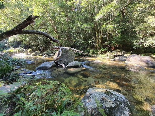 Washpool National Park - Thumbnail