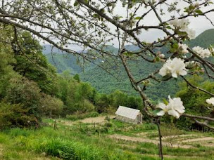 Photo n°1 de Micro ferme Végétale AlpyTerre à Balacet (Ferme bio)