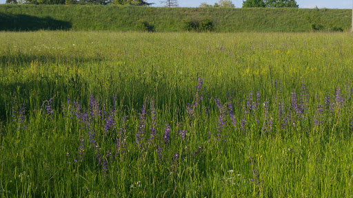 Piave - Visual