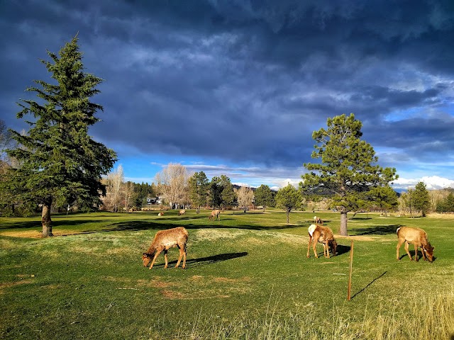 Estes Park Visitors Center