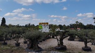 Photo n°26 de Pepiniere Faure à Grisolles (Paysagiste)