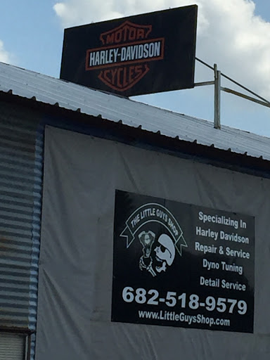 Little Guy's Shop Logo