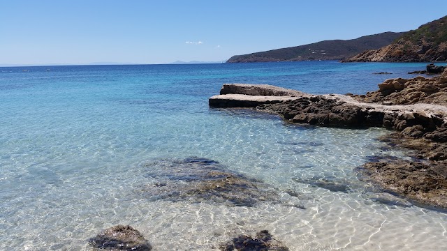 Asinara