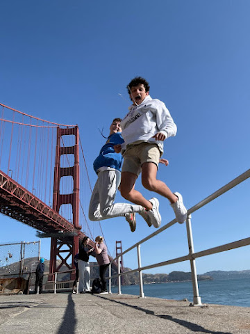 Dylan's Tours by null