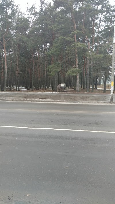 Photos of Lesopark
