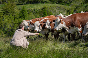 Photo n°26 de Chalet Les Moineaux - SUZUME RESTAURANT à Jausiers (Hôtel)