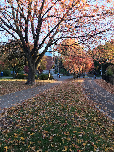 Westmount Park Elementary School - Thumbnail