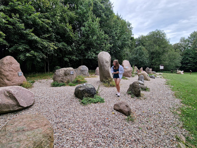 Comentarii opinii despre Góra Dylewska