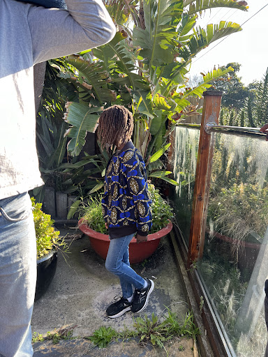 Kinya Dreadlocks - Visual