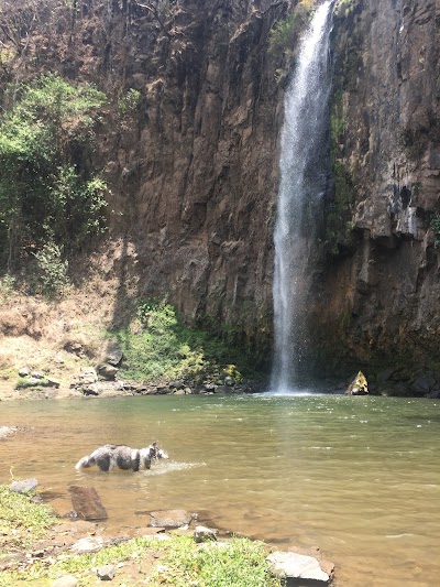 Photos of CASCADAS EL CHORRERON