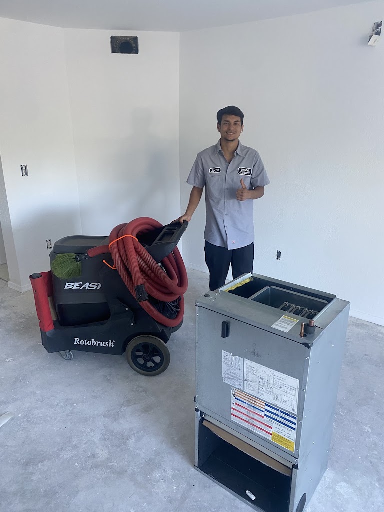 Mold removal photo