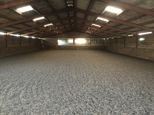 Blaby Mill Stables - Thumbnail