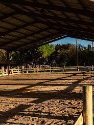 Photo n°5 de Poney club de la Bascoulette à L'Isle-Jourdain (Centre équestre)