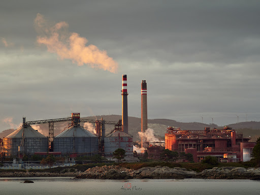 ALCOA - Thumbnail
