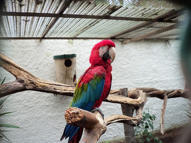 Zoo Lourosa