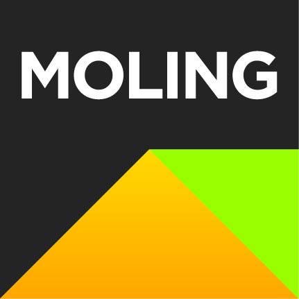 Moling Srl. - Visual