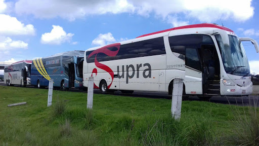 TURISMO EJECUTIVO TLAXCALA - Thumbnail